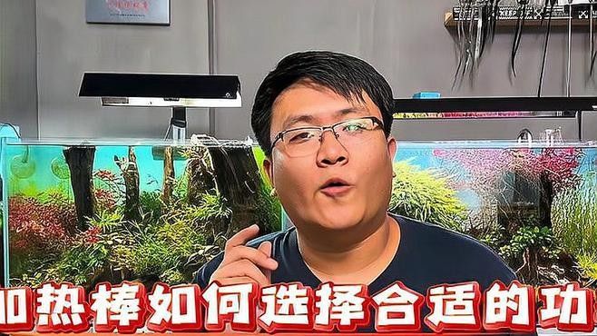 如何選擇適合1.8米魚缸的加熱棒？（1.8米魚缸加熱棒時需要考慮幾個關(guān)鍵因素以確保水質(zhì)適宜和魚類健康）