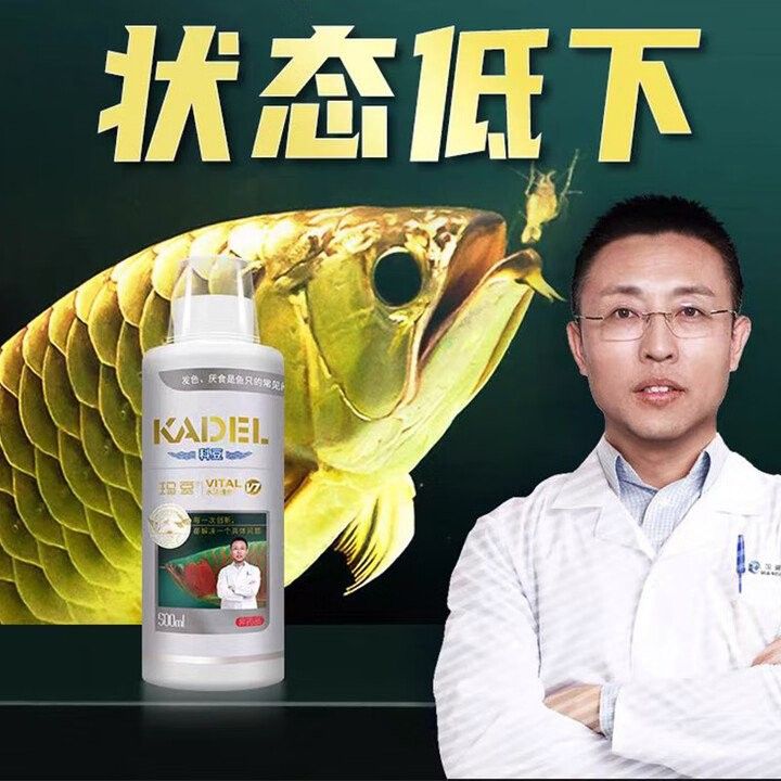 龍魚維他命的使用方法（關(guān)于龍魚維他命的使用方法）
