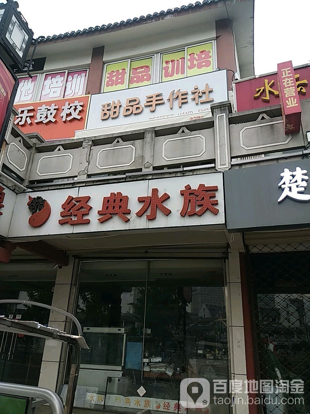 宿遷哪個水族館龍魚好？祥龍魚場龍魚（宿遷祥龍魚場的龍魚品種有哪些森森水族館的龍魚品種有哪些）