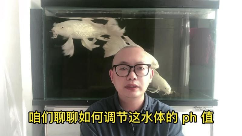 紅龍魚ph值偏高怎么辦（紅龍魚ph值偏高怎么處理紅龍魚ph值偏高問題解決方案）