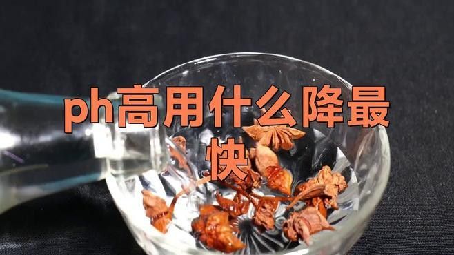 如何驗證祥龍魚場證書的真偽？，如何確認祥龍魚場證書的真偽？ 如何驗證祥龍魚場證書的真偽？，如何確認祥龍魚場證書的真偽？ 龍魚百科 第2張