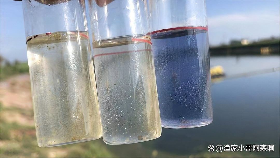 紅龍魚ph值偏高怎么辦（紅龍魚ph值偏高怎么處理紅龍魚ph值偏高問題解決方案）