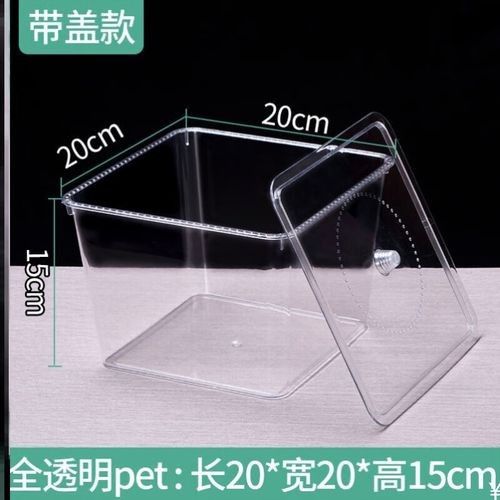 推薦幾款適合六角龍的魚缸（幾款適合六角龍的水族缸推薦）