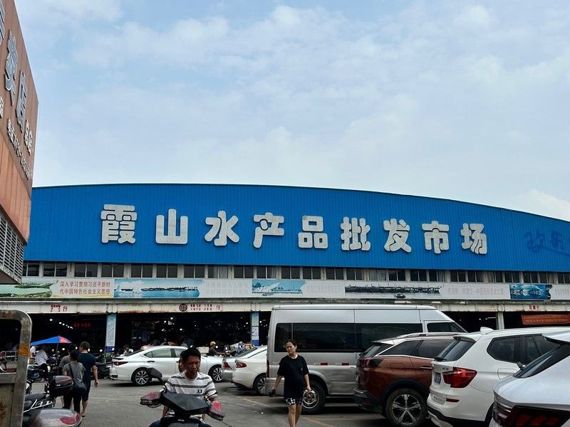 蔡生龍魚行在哪個(gè)城市？（“蔡生龍魚行”未提及名為“蔡生龍魚行”具體企業(yè)或店鋪信息12）