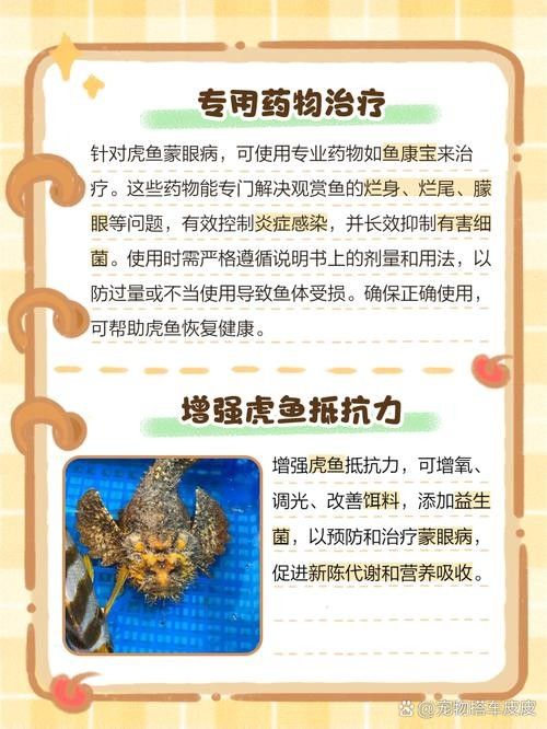 如何預防龍魚凸眼的發生(龍魚凸眼是什么原因) 龍魚百科 第3張 如何預防龍魚凸眼的發生(龍魚凸眼是什么原因) 如何預防龍魚凸眼的發生(龍魚凸眼是什么原因) 龍魚百科 第3張