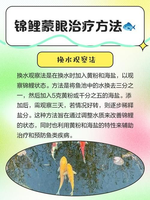 如何預防龍魚凸眼的發生(龍魚凸眼是什么原因) 龍魚百科 第6張 如何預防龍魚凸眼的發生(龍魚凸眼是什么原因) 如何預防龍魚凸眼的發生(龍魚凸眼是什么原因) 龍魚百科 第6張