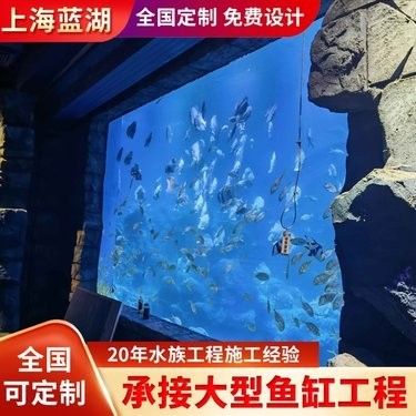 金龍魚的市場價格是多少，金龍魚市場價格因品種、品種、品種、品相優劣和市場陷阱