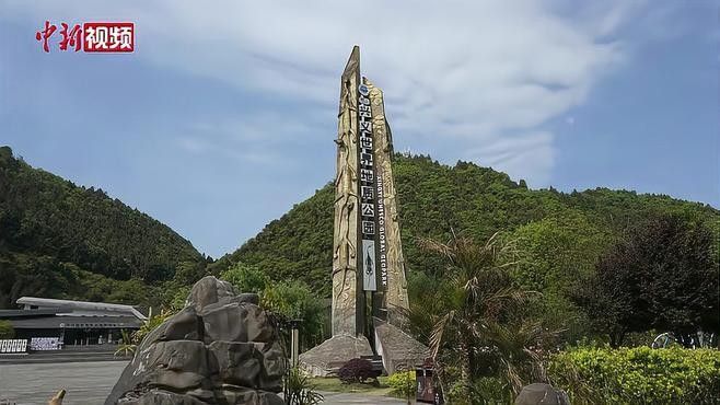 貴州龍魚化石的市場行情如何