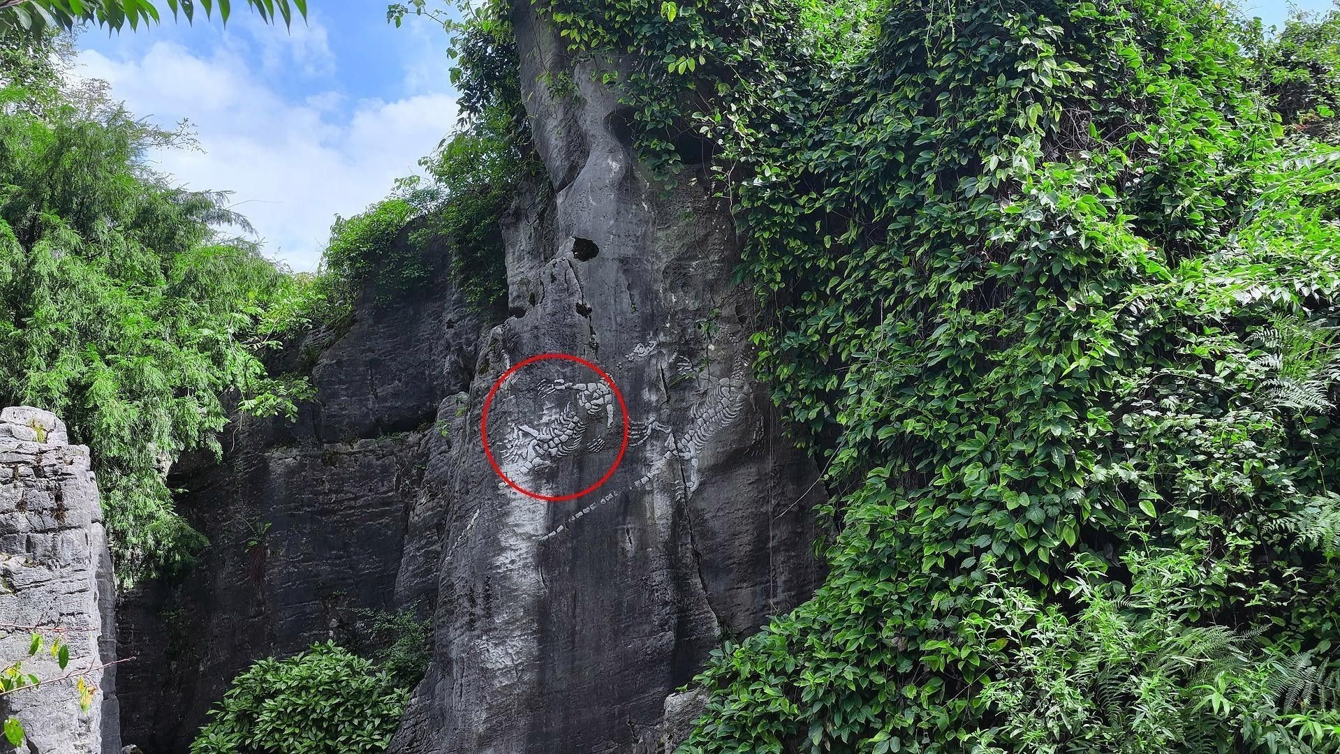 貴州龍魚化石的市場行情如何