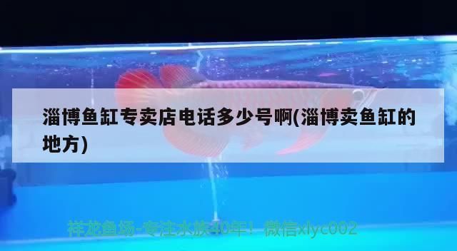 淄博彩鰈魚缸專賣店：淄博彩鰈魚缸專賣店提供各種類型的魚缸
