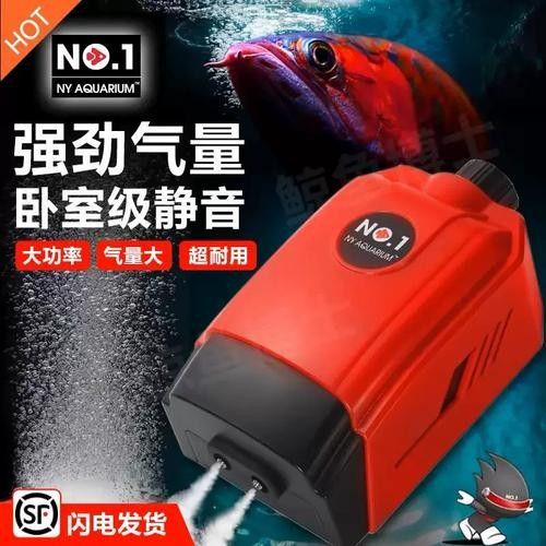 金龍魚打氧用什么設備好 金龍魚打氧用什么設備好 龍魚百科 第9張