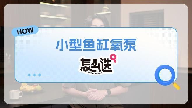 金龍魚打氧用什么設備好 金龍魚打氧用什么設備好 龍魚百科 第11張