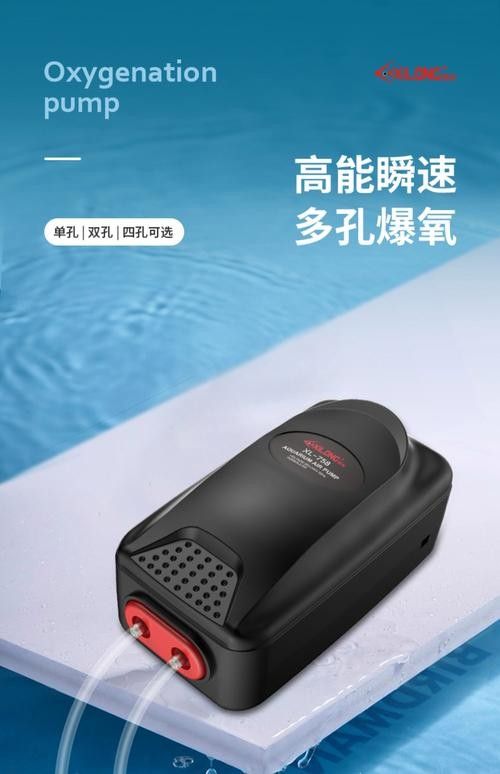 金龍魚打氧用什么設備好 金龍魚打氧用什么設備好 龍魚百科 第6張