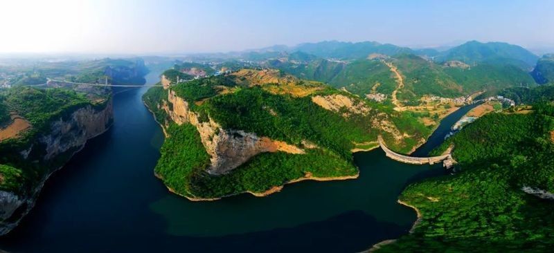 除了上述餐廳，還有哪些地方可以吃到龍魚 除了上述餐廳，還有哪些地方可以吃到龍魚 龍魚百科 第11張