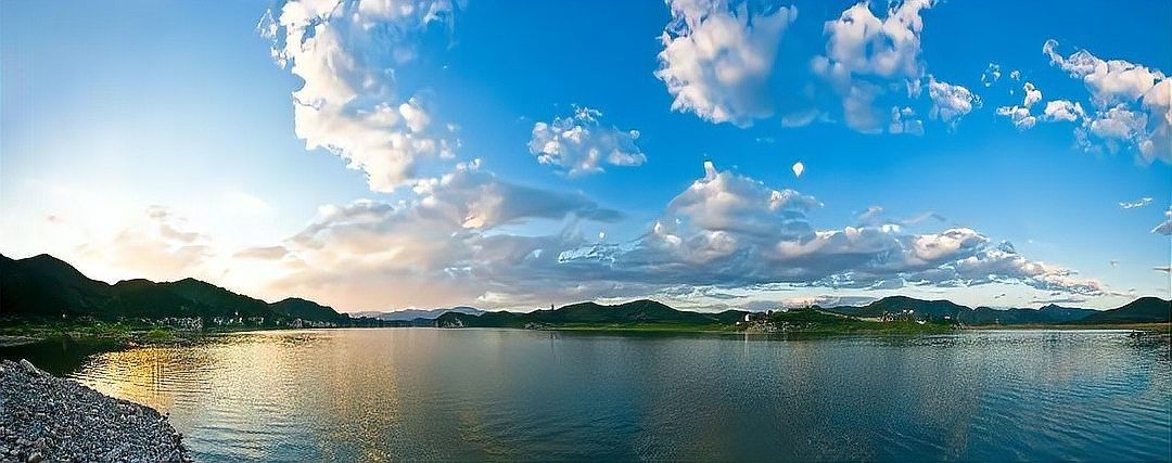 除了上述餐廳，還有哪些地方可以吃到龍魚 除了上述餐廳，還有哪些地方可以吃到龍魚 龍魚百科 第12張