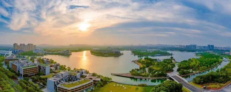除了上述餐廳，還有哪些地方可以吃到龍魚 除了上述餐廳，還有哪些地方可以吃到龍魚 龍魚百科 第7張
