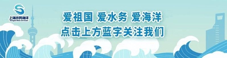 除了上述餐廳，還有哪些地方可以吃到龍魚 除了上述餐廳，還有哪些地方可以吃到龍魚 龍魚百科 第8張