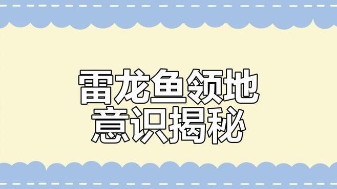 七彩雷龍魚打架會(huì)受傷嗎？（七彩雷龍魚在爭(zhēng)斗中會(huì)受到傷害嗎？）