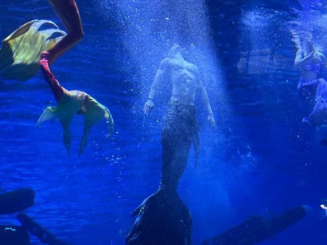 融水哪個水族館龍魚好？祥龍魚場龍魚 融水哪個水族館龍魚好？祥龍魚場龍魚 龍魚百科 第1張