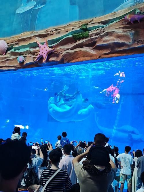 融水哪個水族館龍魚好？祥龍魚場龍魚 融水哪個水族館龍魚好？祥龍魚場龍魚 龍魚百科 第5張