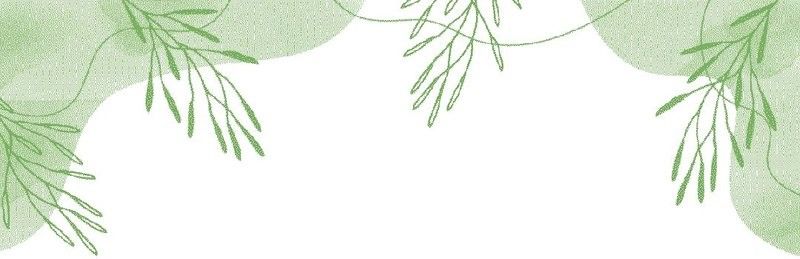 如何辨別壁紙的環(huán)保等級 如何辨別壁紙的環(huán)保等級 龍魚百科 第4張