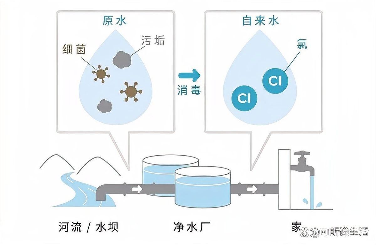如何處理自來水中的余氯 如何處理自來水中的余氯 龍魚百科 第4張