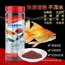 龍魚飼料和錦鯉飼料有什么區別