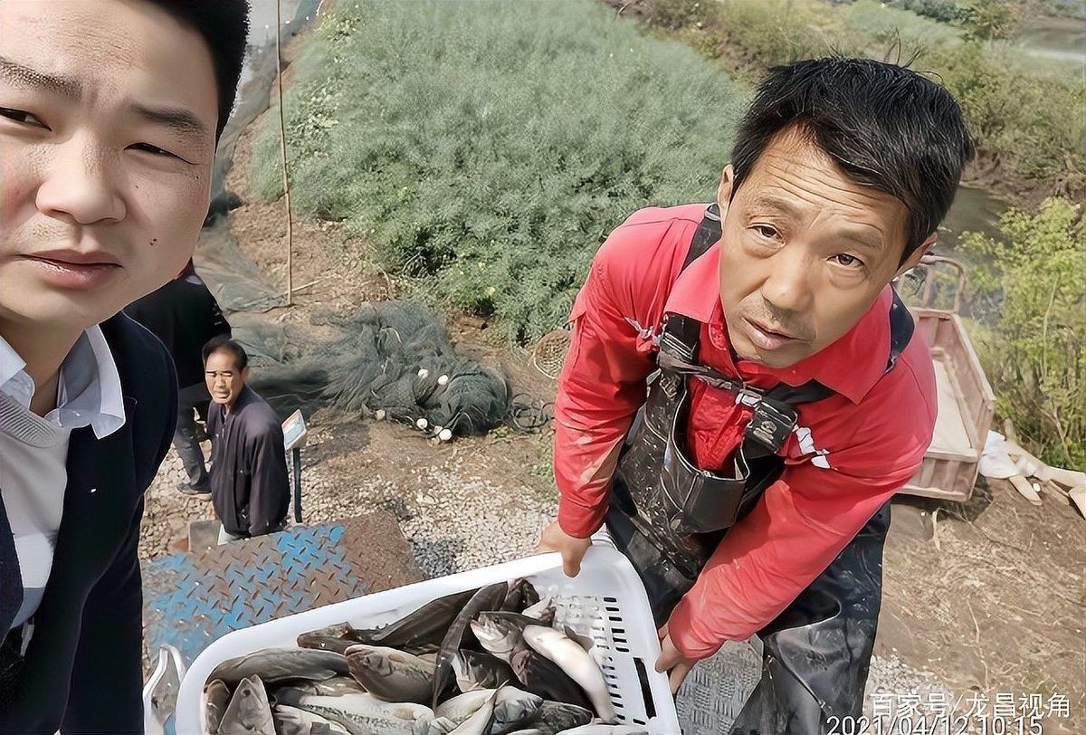 如何提高金龍魚苗的免疫力（如何提高金龍魚苗免疫力） 如何提高金龍魚苗的免疫力（如何提高金龍魚苗免疫力） 龍魚百科 第2張