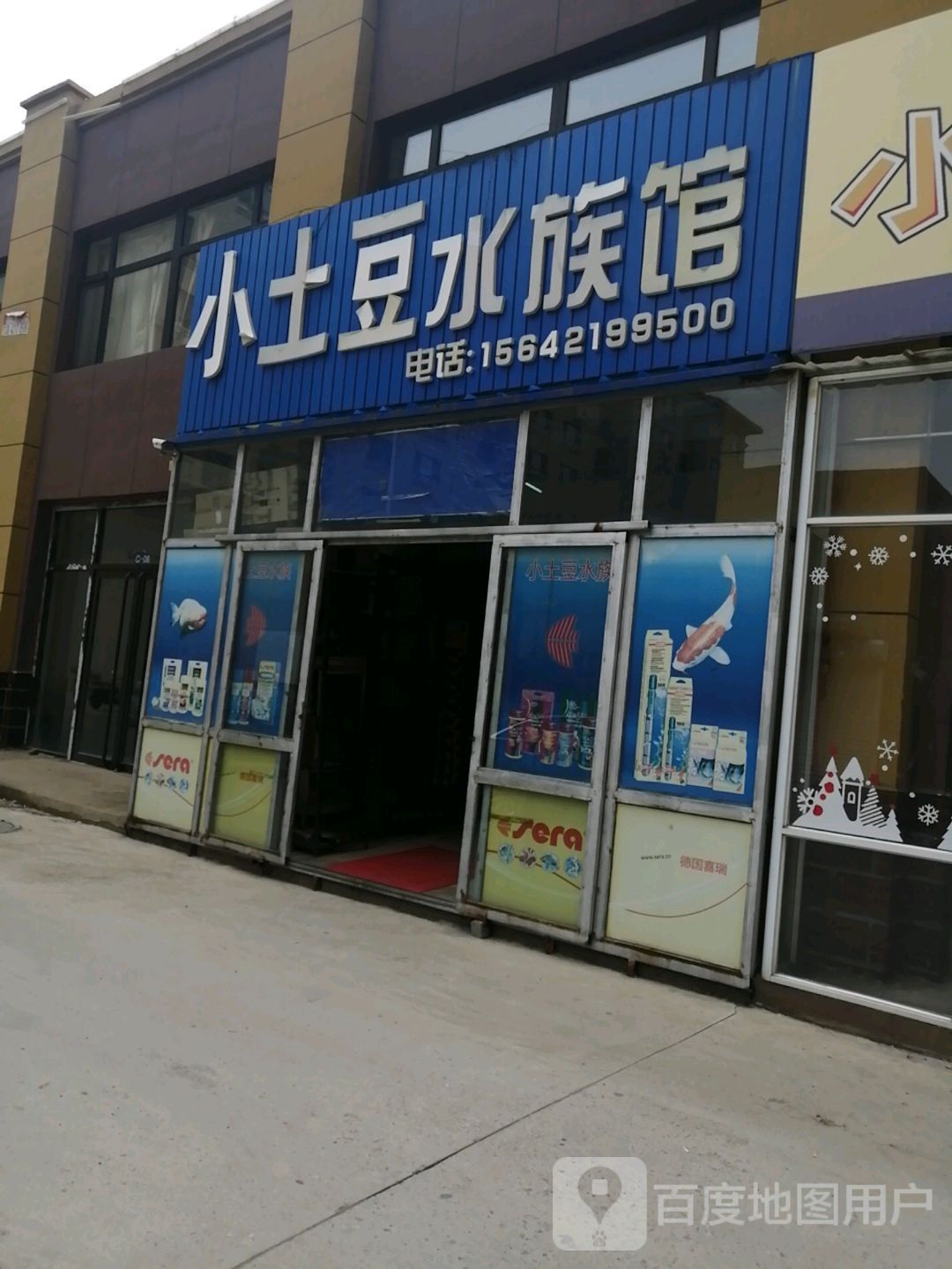 雙塔哪個(gè)水族館龍魚好？祥龍魚場龍魚（雙塔哪個(gè)水族館龍魚好） 雙塔哪個(gè)水族館龍魚好？祥龍魚場龍魚（雙塔哪個(gè)水族館龍魚好） 龍魚百科 第6張
