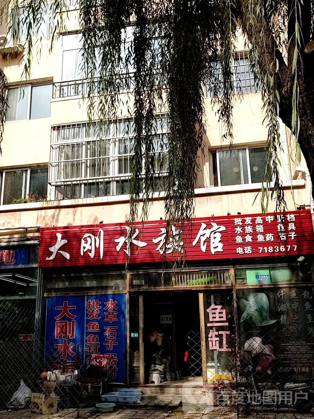 雙塔哪個(gè)水族館龍魚好？祥龍魚場龍魚（雙塔哪個(gè)水族館龍魚好） 雙塔哪個(gè)水族館龍魚好？祥龍魚場龍魚（雙塔哪個(gè)水族館龍魚好） 龍魚百科 第7張