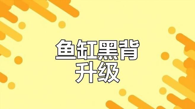 金龍魚黑色背景多久換一次（如何判斷金龍魚是否需要換背景？） 金龍魚黑色背景多久換一次（如何判斷金龍魚是否需要換背景？） 龍魚百科 第2張