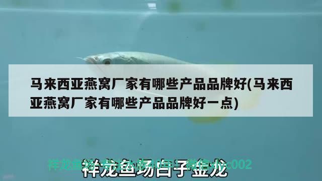 魚缸用增氧泵價格是多少:魚缸增氧機-xtrac增氧機-xtrac增氧機 馬來西亞燕窩廠家有哪些產品品牌好(馬來西亞燕窩廠家有哪些產品品牌好一點) 觀賞魚百科 馬來西亞燕窩廠家有哪些產品品牌好(馬來西亞燕窩廠家有哪些產品品牌好一點) 馬來西亞燕窩廠家有哪些產品品牌好(馬來西亞燕窩廠家有哪些產品品牌好一點) 觀賞魚百科