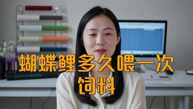 白金龍鳳鯉和蝴蝶鯉哪個更好養(yǎng)？（白金龍鳳鯉和蝴蝶鯉的區(qū)別，）