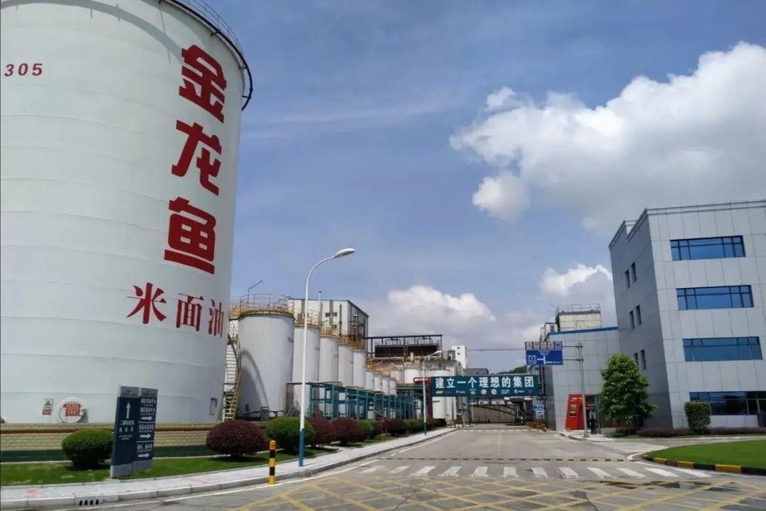 如何聯系金龍魚南昌直銷門店 如何聯系金龍魚南昌直銷門店 龍魚百科 第4張