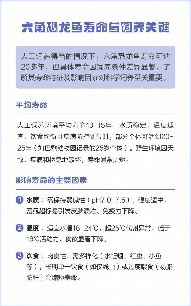 六角龍魚能活多久（六角恐龍魚的壽命有多長）