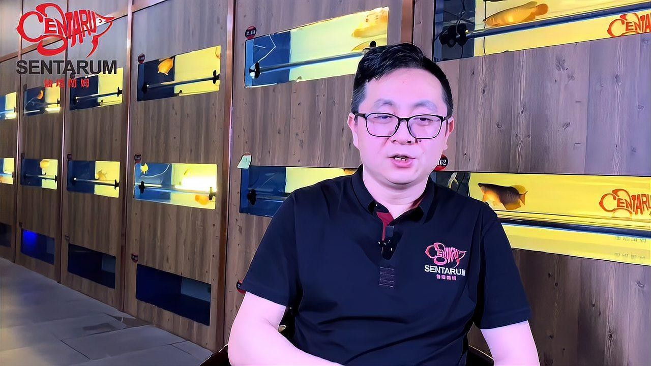 龍魚吃草金魚會消化不良嗎（龍魚吃小草金會導致消化不良嗎）