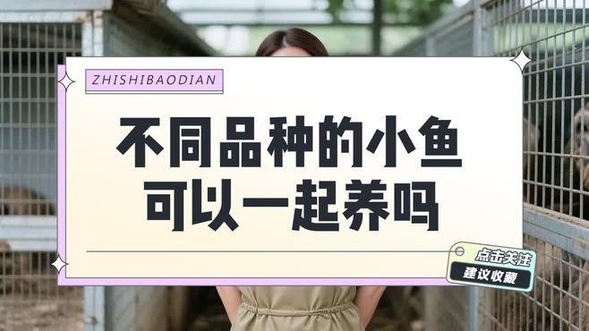 有哪些常見的水族混養搭配？（常見的水族混養搭配）