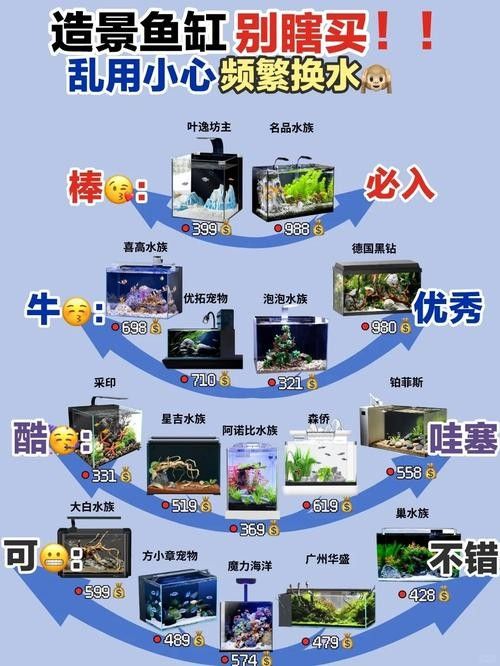 有哪些常見的水族混養搭配？（常見的水族混養搭配）