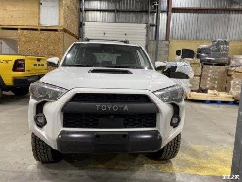 2025年10月02日有哪些促銷活動？（2025年10月02日全球各地商家和零售商將推出一系列促銷活動） 2025年10月02日有哪些促銷活動？（2025年10月02日全球各地商家和零售商將推出一系列促銷活動） 龍魚百科 第2張