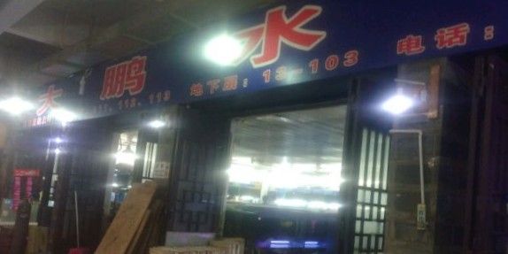 昆明有哪些水族市場？（云南省昆明市水族市場） 昆明有哪些水族市場？（云南省昆明市水族市場） 龍魚百科 第2張
