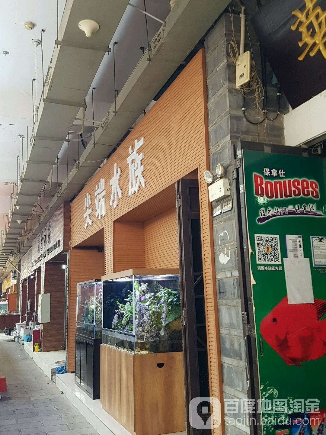 昆明有哪些水族市場？（云南省昆明市水族市場） 昆明有哪些水族市場？（云南省昆明市水族市場） 龍魚百科 第1張