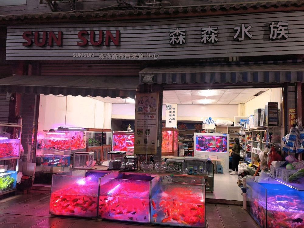 昆明有哪些水族市場？（云南省昆明市水族市場） 昆明有哪些水族市場？（云南省昆明市水族市場） 龍魚百科 第4張