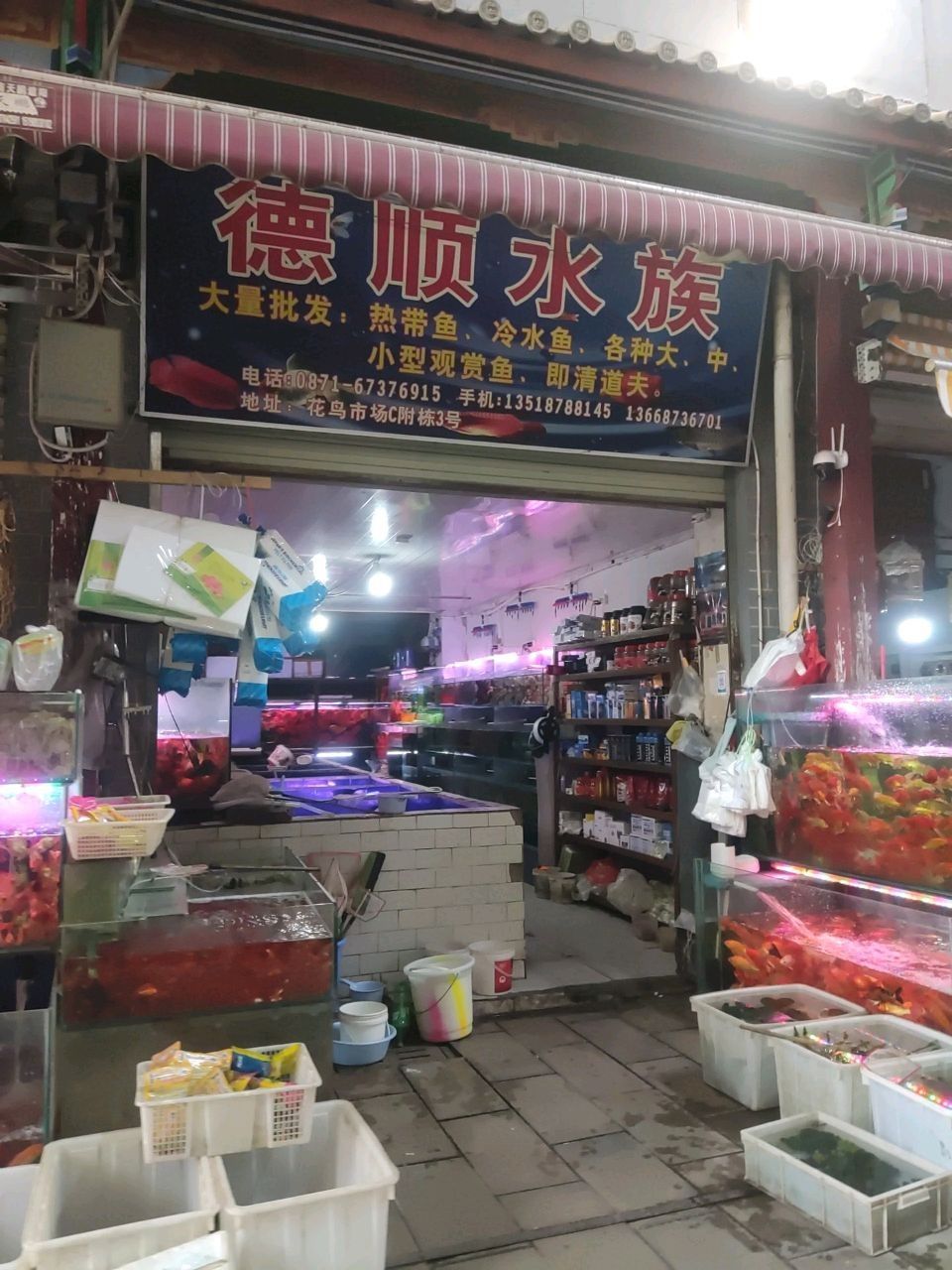 昆明有哪些水族市場？（云南省昆明市水族市場） 昆明有哪些水族市場？（云南省昆明市水族市場） 龍魚百科 第5張