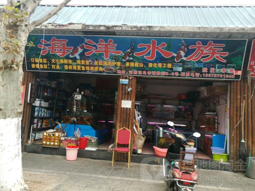 昆明有哪些水族市場？（云南省昆明市水族市場） 昆明有哪些水族市場？（云南省昆明市水族市場） 龍魚百科 第7張