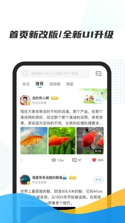 龍巔觀賞魚APP有哪些版本？（龍巔觀賞魚app主要版本介紹）