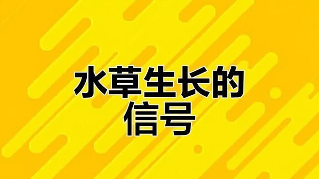 如何判斷水草是否健康？（如何判斷水草是否健康）