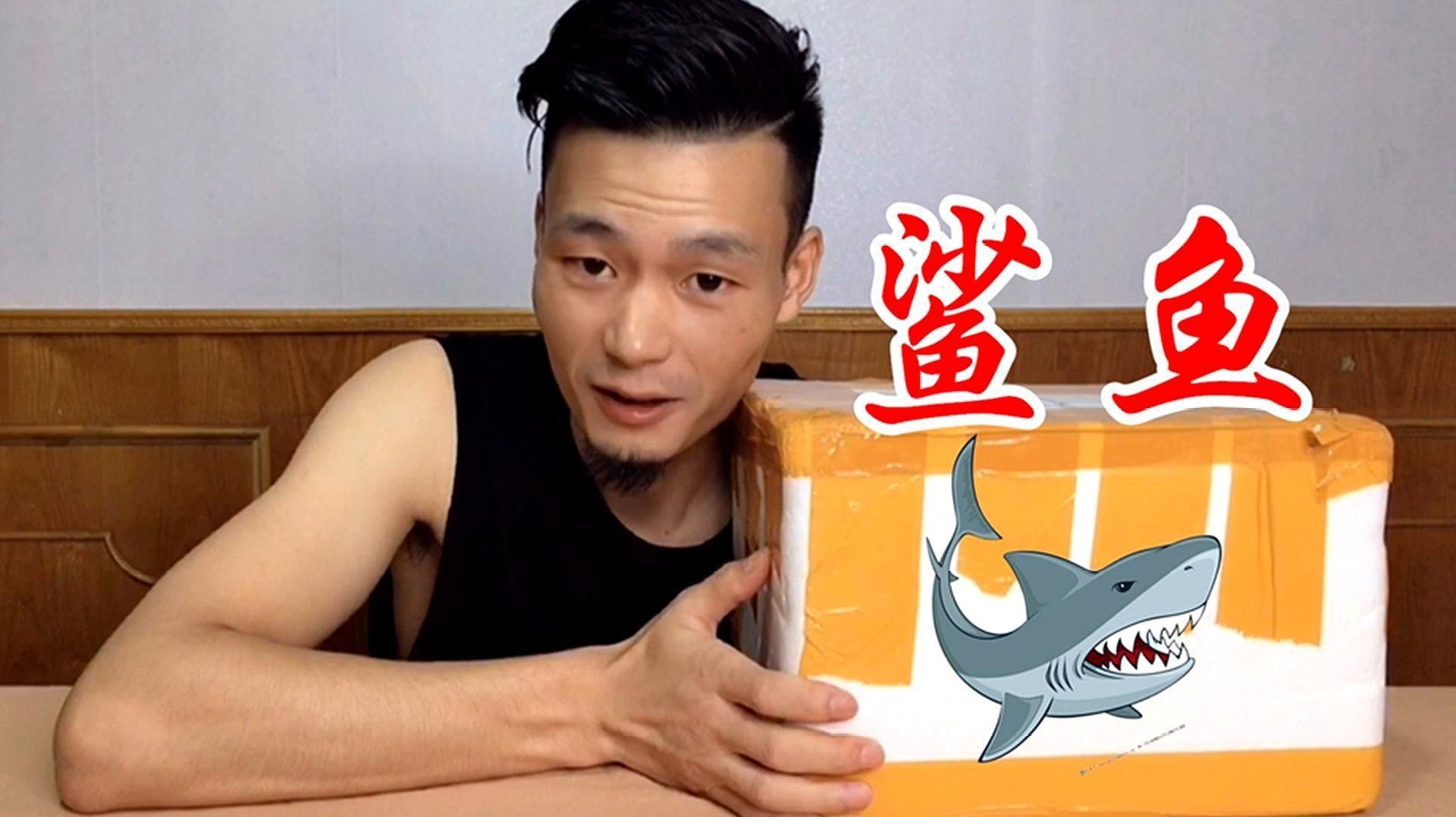 恐龍魚成年后還能長多大（六角恐龍魚成年后的體型因品種差異顯著）