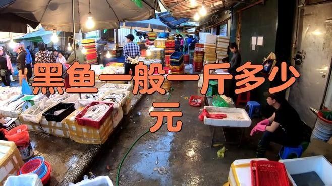 哪些因素會(huì)影響黑魚(yú)價(jià)格（黑魚(yú)價(jià)格受多種因素影響）