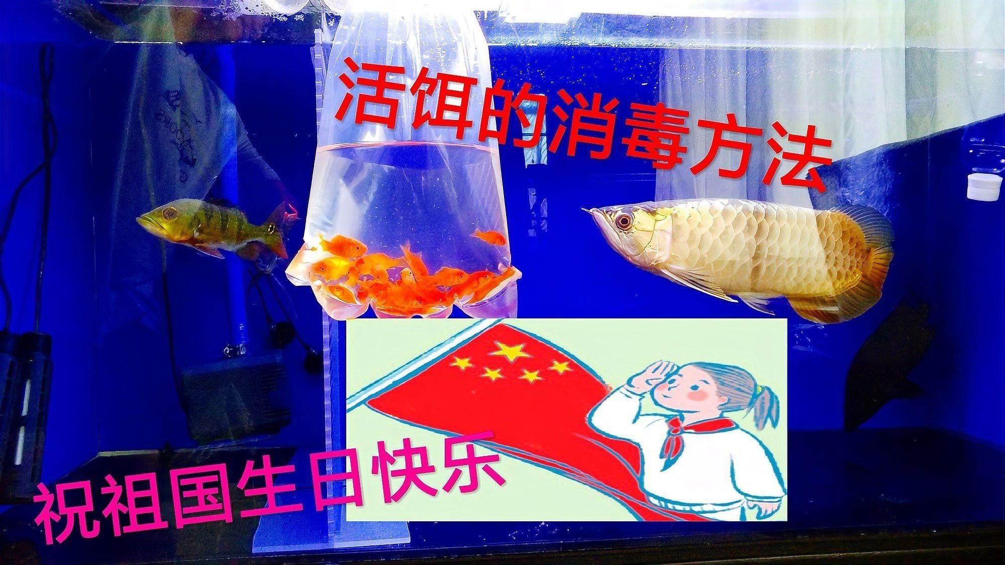 如何消毒和處理活餌（水產(chǎn)養(yǎng)殖過程中如何消毒和處理活餌？）