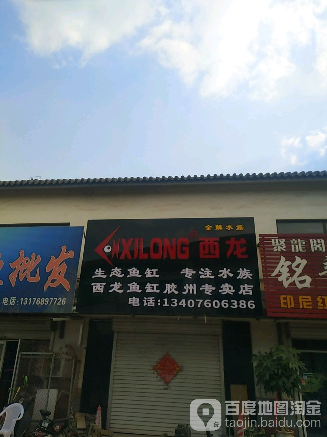 青島龍魚缸定做店的價格范圍是多少（定制大型觀賞魚缸需要多少錢）